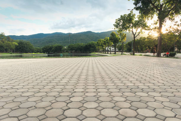 Best Professional Driveway Pavers  in Washington, WV